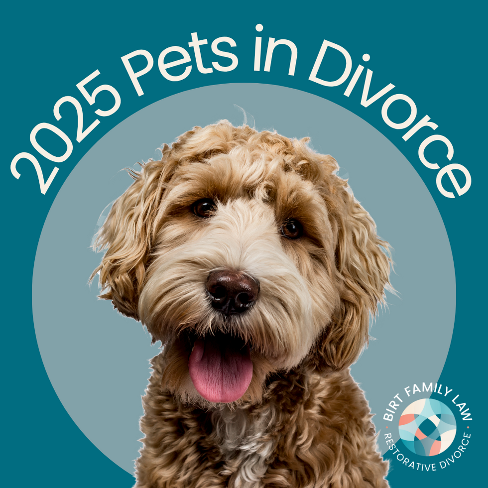 A friendly curly-haired dog with the text ‘2025 Pets in Divorce’ and the Birt Family Law logo.