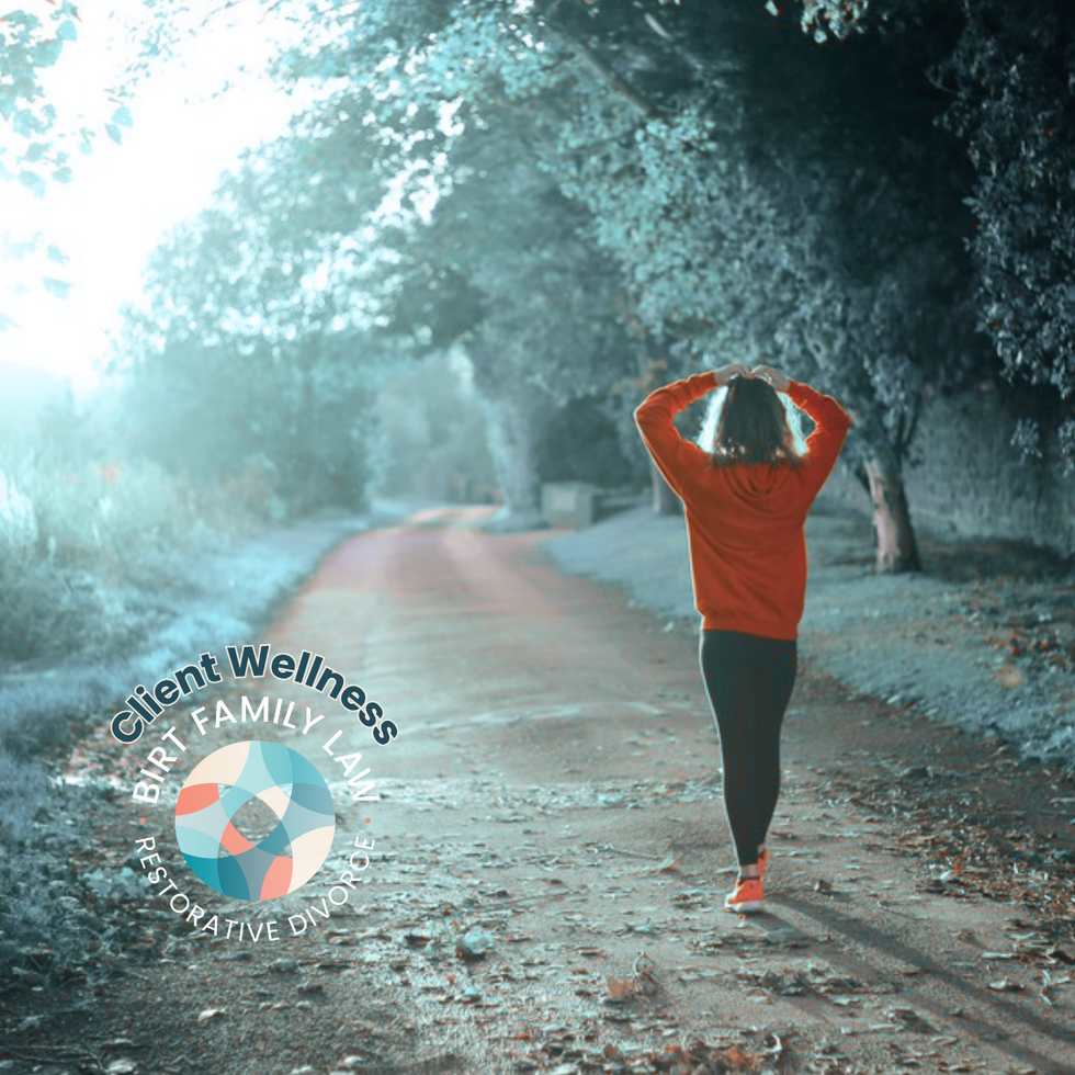 Person walking alone on a wooded path in soft morning light, symbolizing personal reflection and healing. Image used on Birt Family Law’s Client Wellness page to support emotional well-being during divorce.