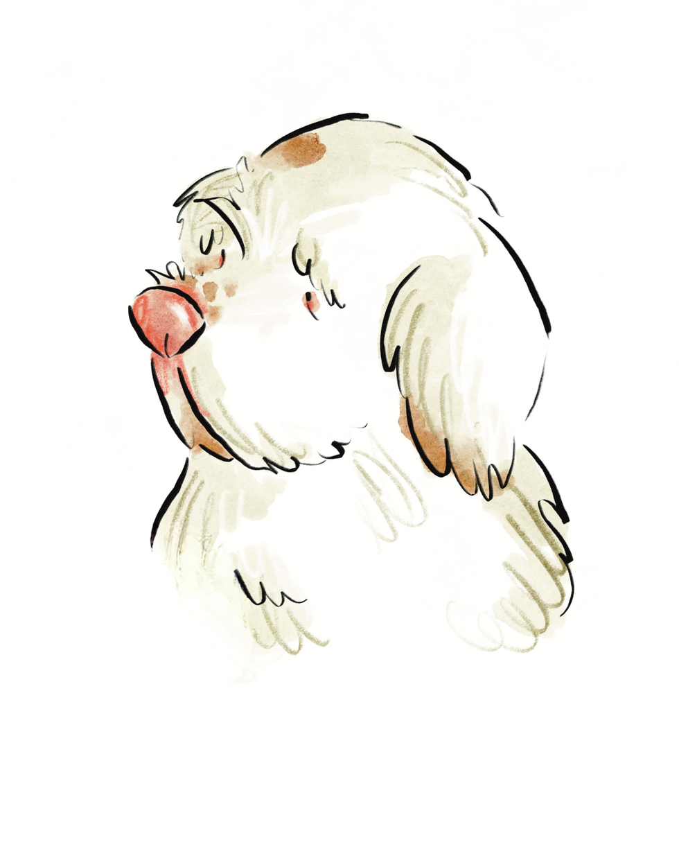 Illustration of a gentle dog character from the children's book Rudy & Ali helping children understand emotions during family change.