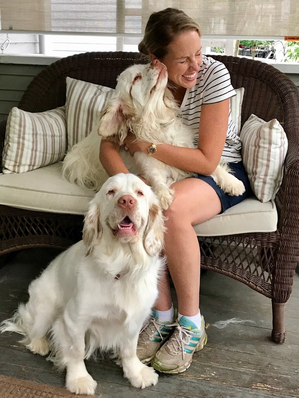 Clumber Spaniels Rudy and Ali sharing an affectionate moment with their owner, showing the loving nature of the breed.