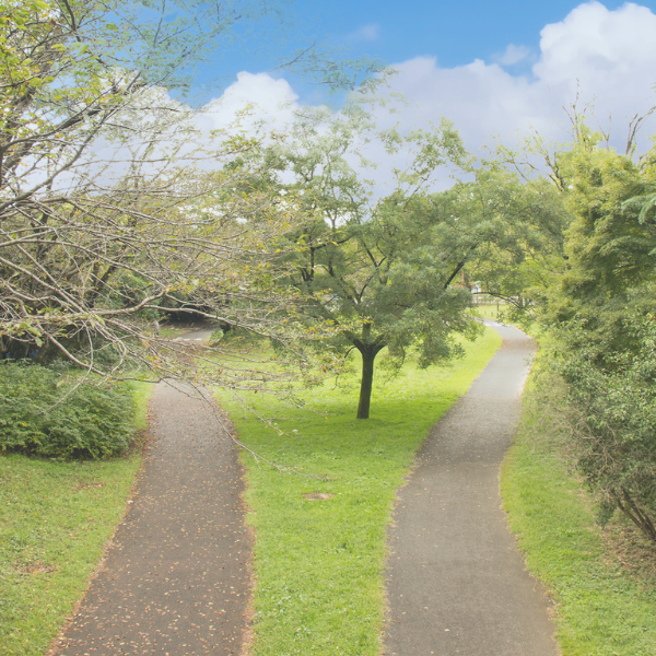 Divorce options showing mediation or individual legal guidance in DuPage County