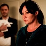 shannon doherty divorce estate planning