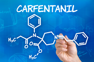 Carfentanil 