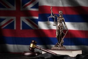 Honolulu Federal Criminal Defense Lawyer