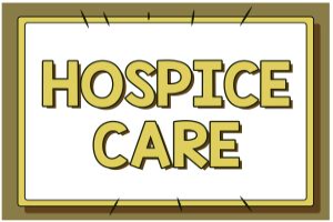 Federal Hospice Fraud Offenses