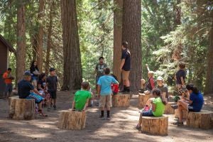 Can I File a Lawsuit in California Against a Summer Camp for Sexual Abuse?