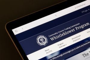 Review of the Federal Whistleblower Process