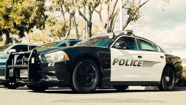 Motor Vehicle Theft in Denver