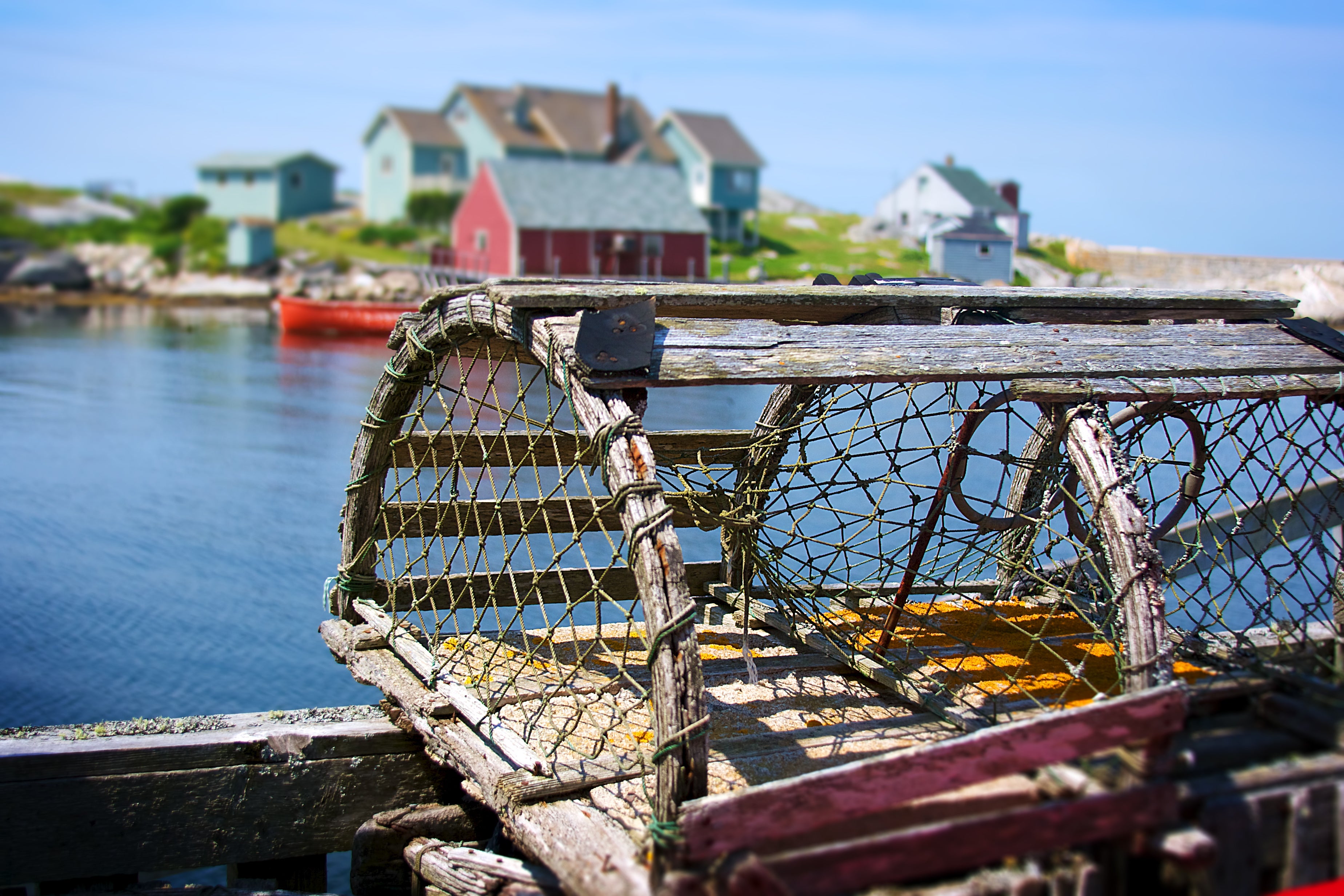 Lobster trap