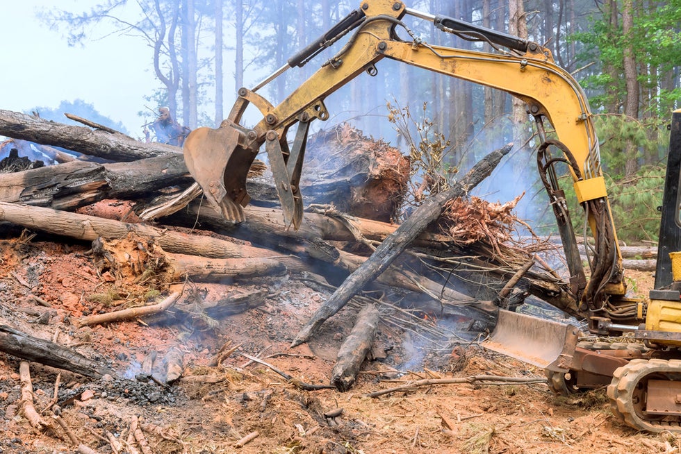 Wildfire cleanup injuries