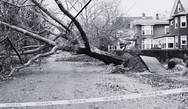 Storm Season to Tax Season 