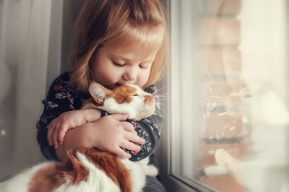 child cuddling pet cat