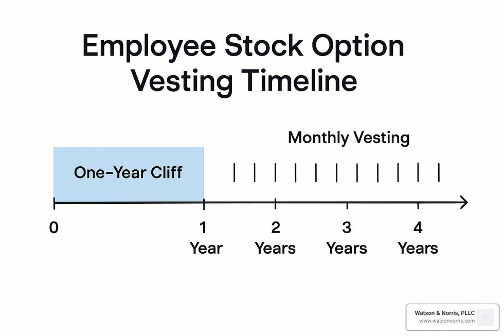 vesting timeline showing cliff period and gradual vesting schedule - employee stock option attorney