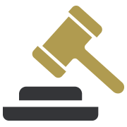 Insurance Defense Icon