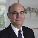 David Lapin