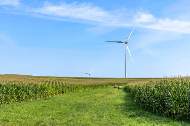 Renewable Energy: Wind, Solar, & Battery Storage Icon
