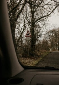 deer-vehicle crashes