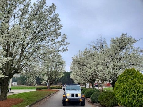 dangerous spring driving conditions