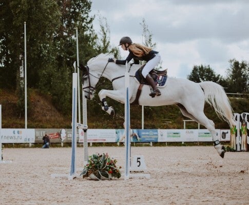 horseback riders injured in accidents