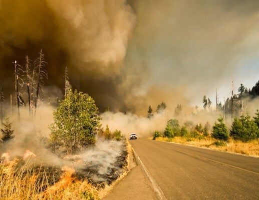 government negligence natural disaster