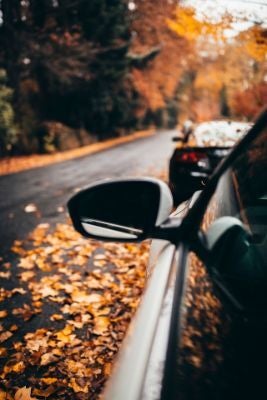 driving hazards this autumn and how to avoid them