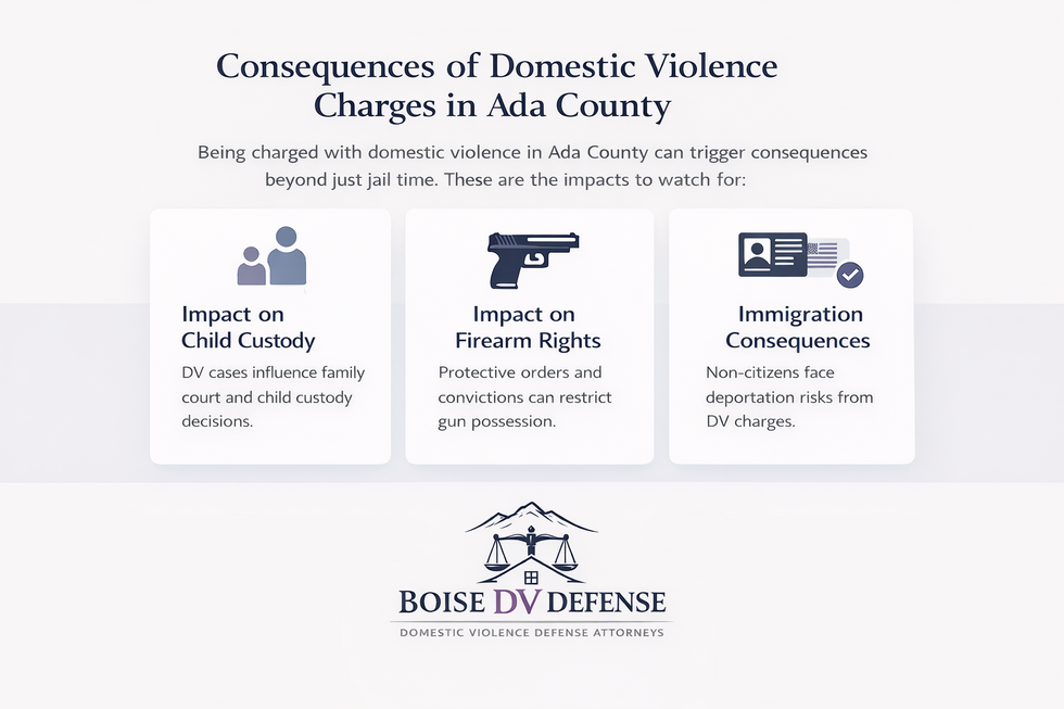 consequences of domestic violence charges in ada county