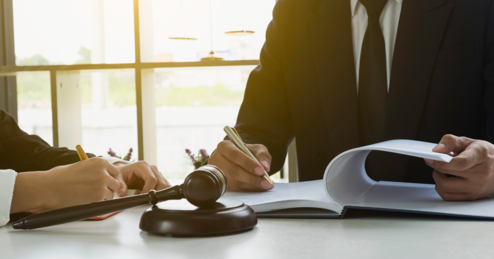 immigration_status_admissible_in_court
