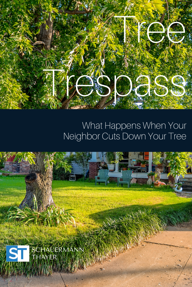 Timber Trespass When Your Neighbor Cuts Down Your Tree! Schauermann Thayer Washington