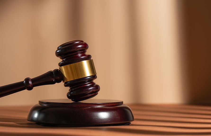Mandamus Icon
