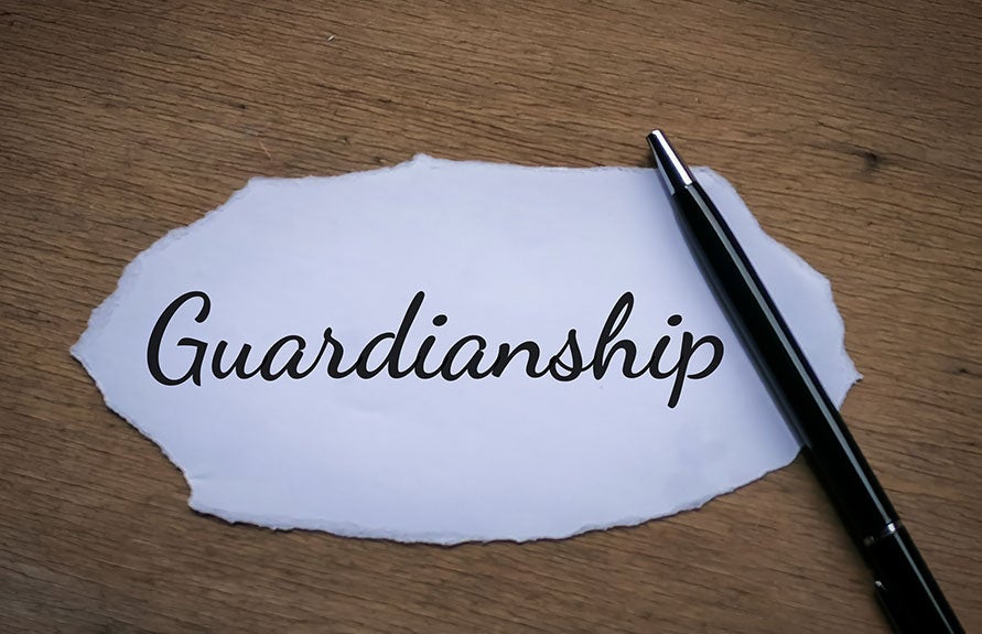 Guardianships Icon