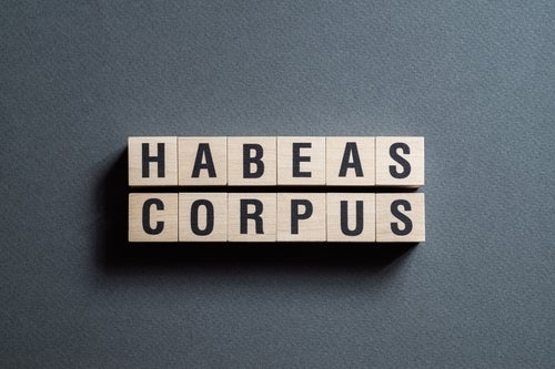 Abogados de Habeas Corpus y Detención Migratoria