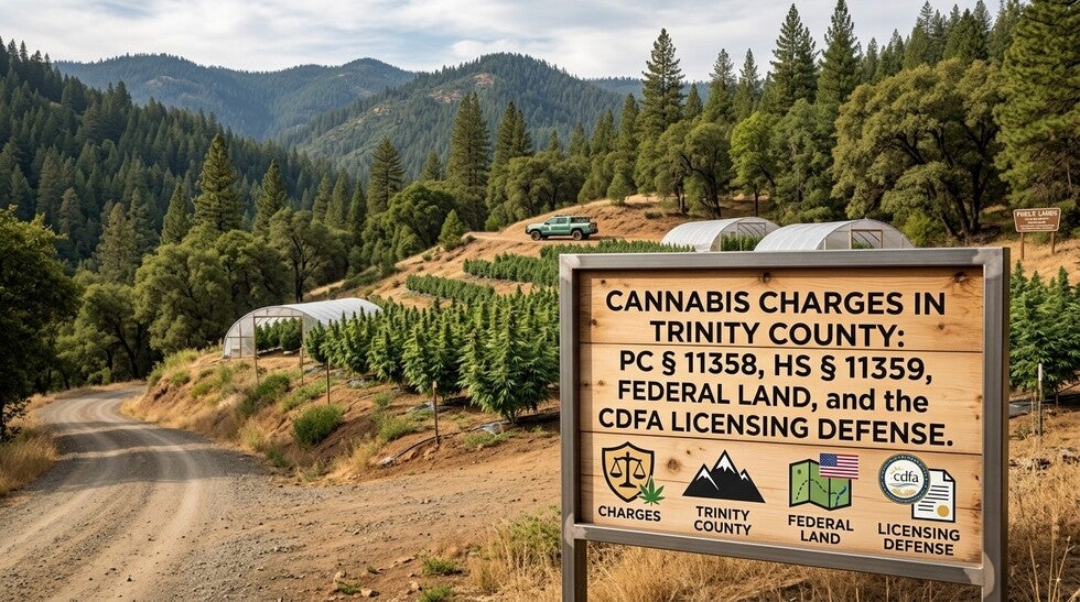 Cannabis Charges in Trinity County
