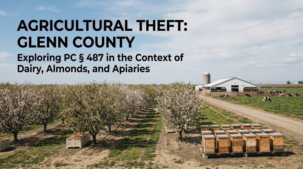 Grand Theft in Glenn County