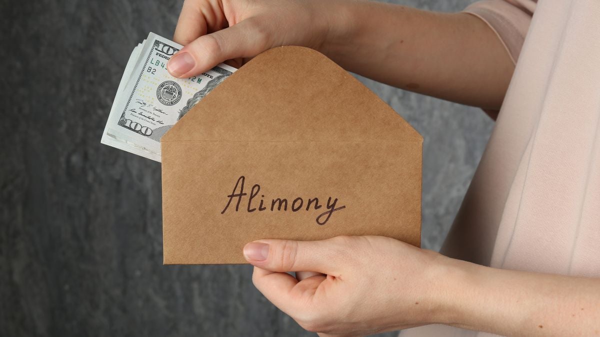 Alimony Icon