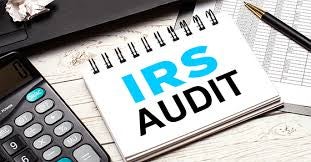 IRS Audit Icon