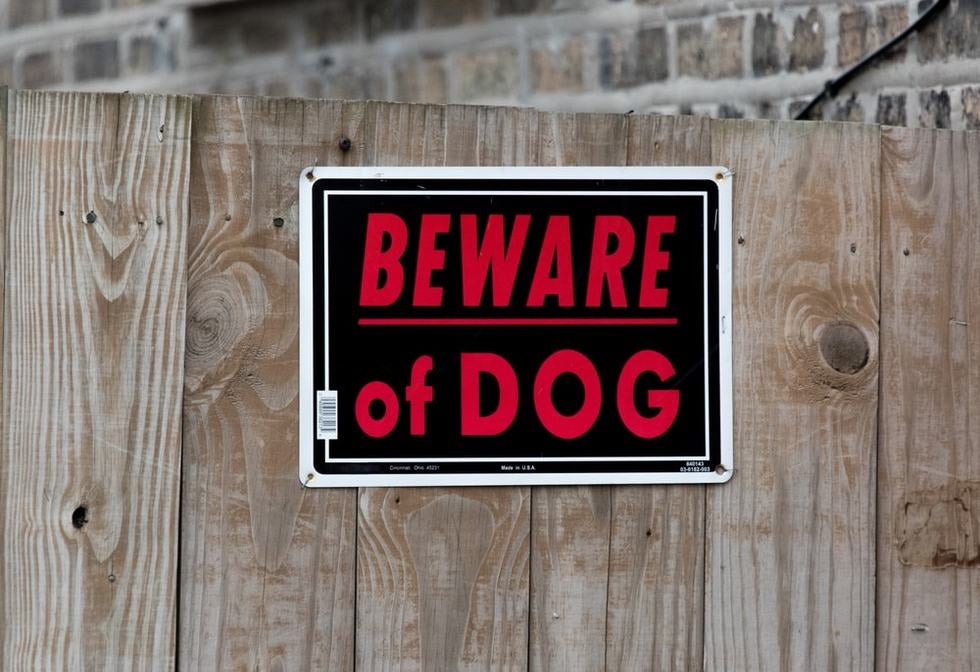 As many as 4.5 million dog bites occur each year in the United States, with one in five bites requiring medical attention each year.