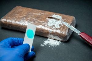 Federal Drug Trafficking Charges (21 U.S.C. § 841)
