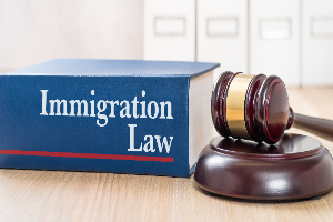 Immigration Consequences of Domestic Violence Convictions in California