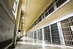 The Electric Chair: A History of Capital Punishment and Constitutional Controversy