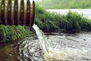 What Is an Environmental Crime?