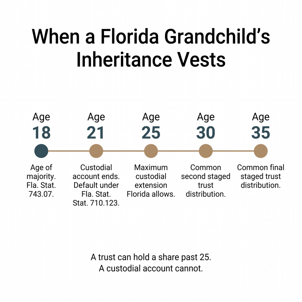 Timeline infographic of the ages at which a Florida grandchild's inheritance vests, from age 18 through staged trust distributions at 35