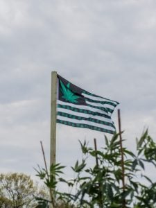 Marijuana Flag