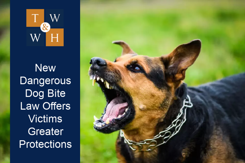 Experienced dog bite personal injury attorneys Pensacola